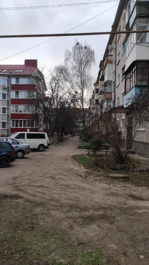 2-Х Комнатная Квартира Коростен Екстериор снимка